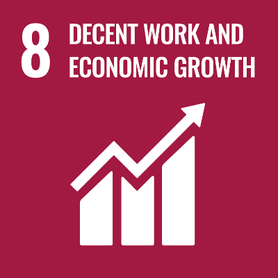 SDG8 Decent Work and Economic Growth