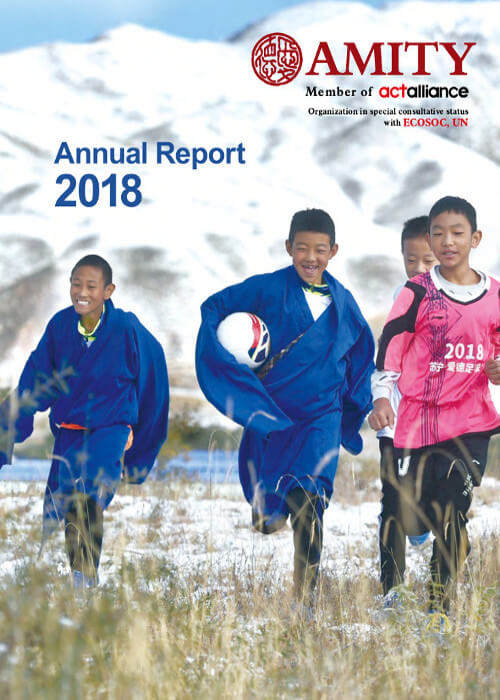 Amity Annual Report 2018