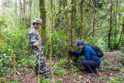 wildlife protection in the rain forest by locals