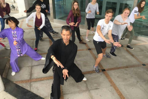 Overseas volunteers doing Tai Chi with Chinese masters