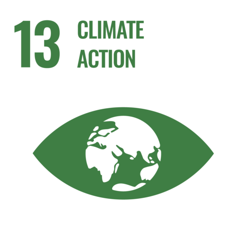 SDG13 Climate Action