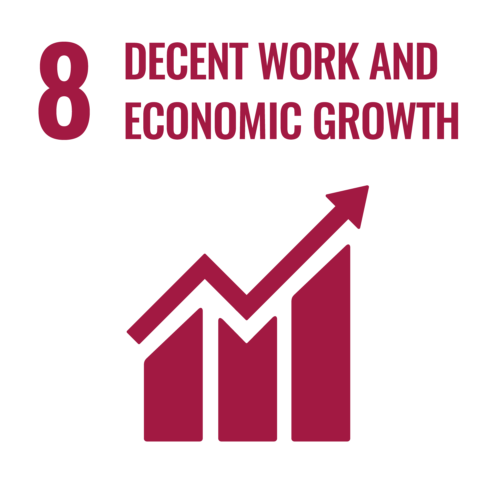 SDG8 Decent Work and Economic Growth