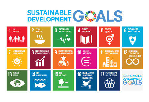 Picture of the Sustainable Development Goals